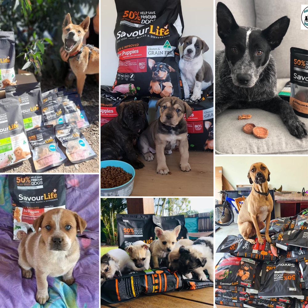 We've been busy getting dog food and treats to rescue groups in need!